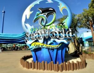 Sea World